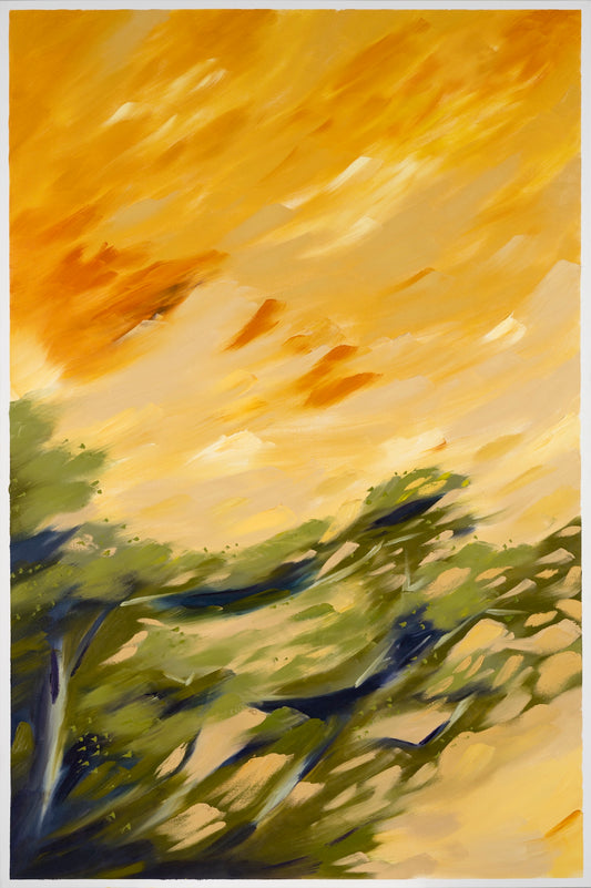 Creosotes 2